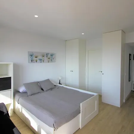 Apartamento Estudio Casaturis En Planta 18 En Pleno Centro De A106